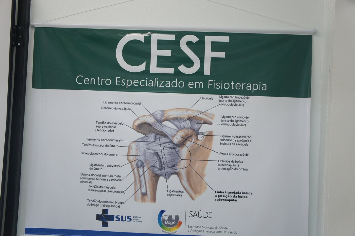 Banner do CESF com material educativo de anatomia exposto no centro.